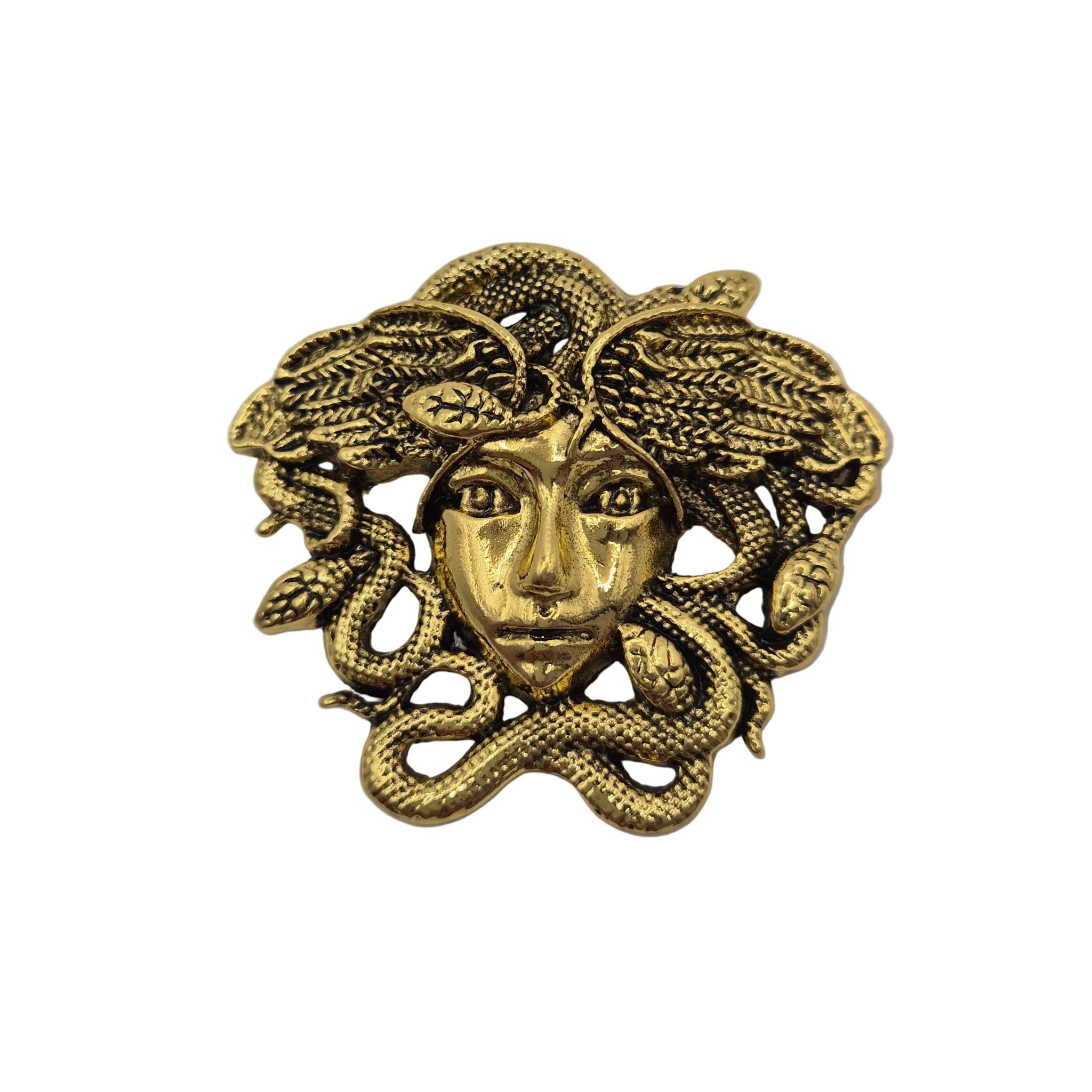 A gold-tone metal brooch featuring a Medusa head with snakes winding through leafy hair, shown on a plain white background.