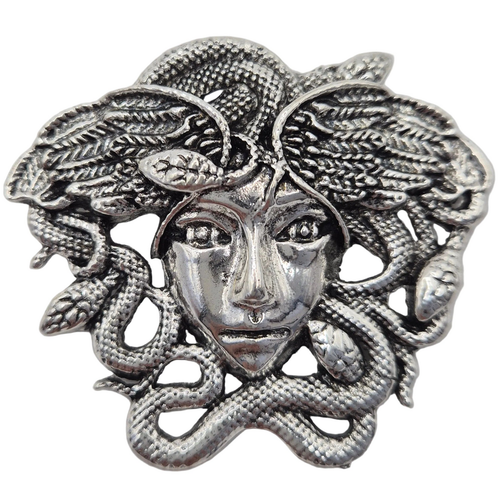 A silver-tone metal brooch or pendant featuring a Medusa head with snakes winding through detailed leafy hair, shown on a plain white background.
